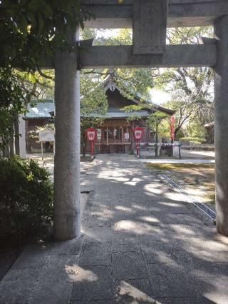 菊池神社の参拝記録(ぐっさんさん)