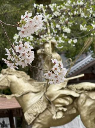 飯盛神社本社の参拝記録(みほさん)