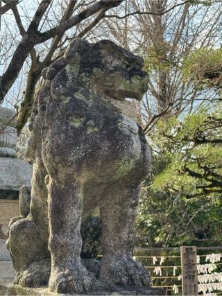 紅葉八幡宮の参拝記録(みほさん)