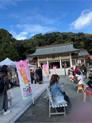 光雲神社の参拝記録(みほさん)