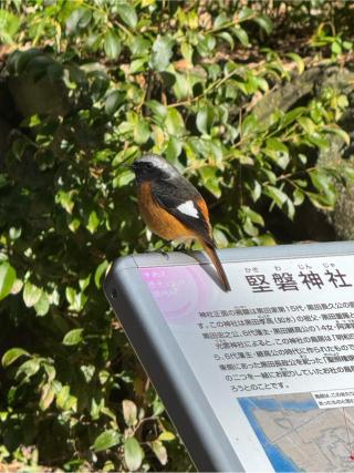 光雲神社の参拝記録(みほさん)