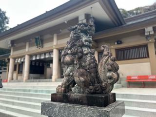 光雲神社の参拝記録(koさん)