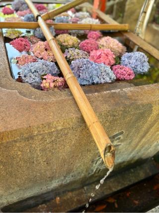 水鏡天満宮（水鏡神社）の参拝記録(miyaさん)