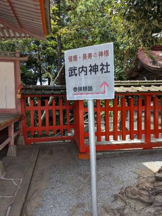 武内神社（香椎宮境内社）の参拝記録(こまいぬおさん)