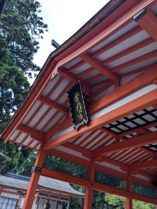 香椎宮の参拝記録(こまいぬおさん)