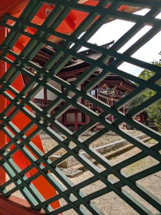 香椎宮の参拝記録(こまいぬおさん)