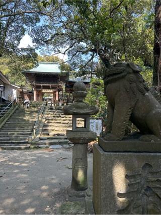 志賀海神社の参拝記録(koさん)