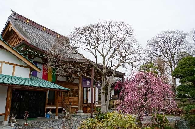 埼玉県入間市春日町2-9-1 世音山妙智寺蓮花院の写真5