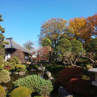 世音山妙智寺蓮花院の参拝記録(しろぎすさん)