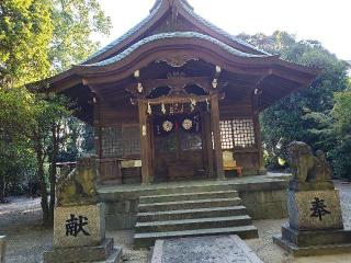 若久住吉神社の参拝記録(飛成さん)