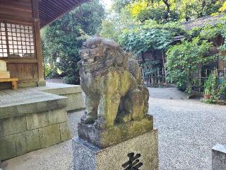 若久住吉神社の参拝記録(飛成さん)