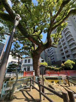 天津神社（住吉神社摂末社八社）の参拝記録(KENさん)