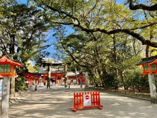 住吉神社(筑前國一宮)の参拝記録(じゃすてぃさん)