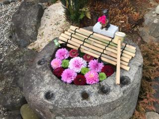 藤ノ木白山神社の参拝記録(筑紫狼さん)