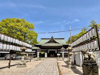 若松恵比須神社の参拝記録(じゃすてぃさん)