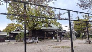 若松恵比須神社の参拝記録(ひこさん)
