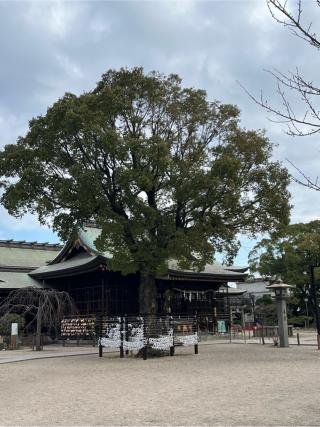 若松恵比須神社の参拝記録(てんさん)