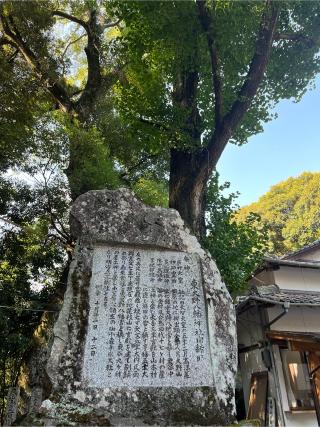 東大野八幡神社の参拝記録(みんきちさん)