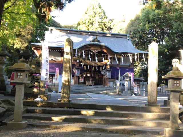 東大野八幡神社の参拝記録(マロさん)