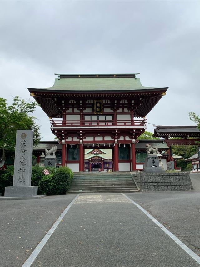 篠崎八幡神社の参拝記録(弥栄さん)