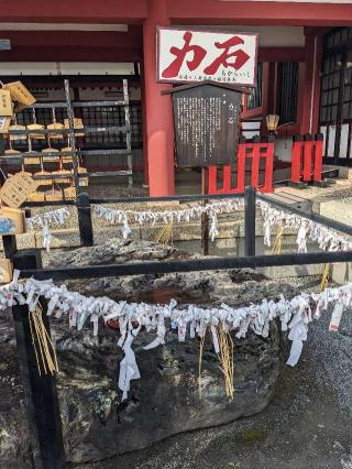 篠崎八幡神社の参拝記録(こまいぬおさん)