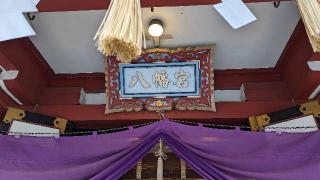 篠崎八幡神社の参拝記録(あずき島さん)