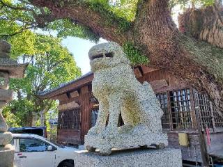 須賀神社(木屋瀬)の参拝記録(飛成さん)