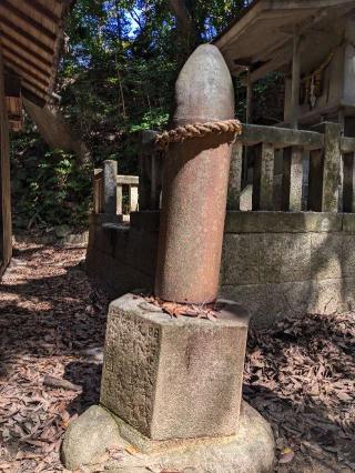 清年神社の参拝記録(こまいぬおさん)