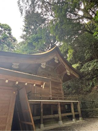 美奈宜神社の参拝記録(ほちさん)