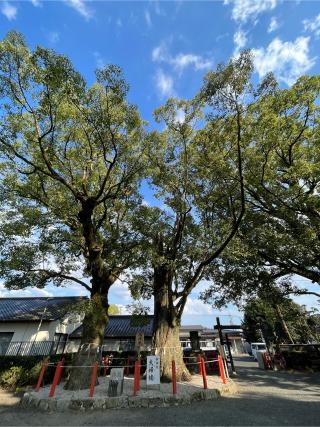美奈宜神社(林田)の参拝記録(みんきちさん)