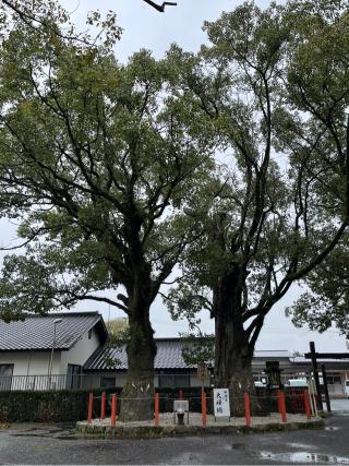 美奈宜神社(林田)の参拝記録(てんさん)