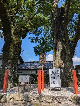 美奈宜神社(林田)の参拝記録(シキさん)