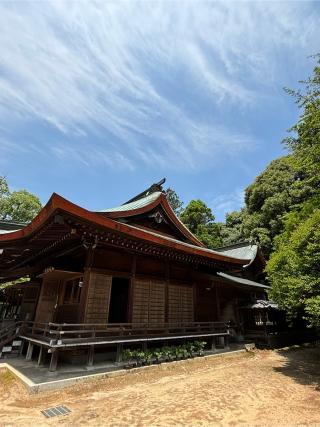 筑紫神社の参拝記録(ほちさん)