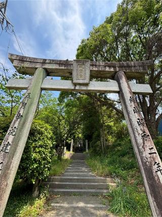 筑紫神社の参拝記録(ほちさん)