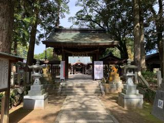 筑紫神社の参拝記録(カレーライス倶楽部さん)