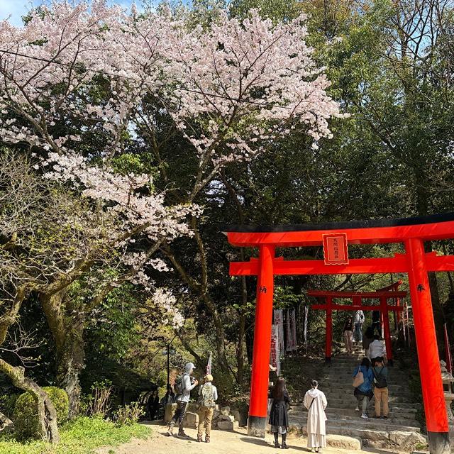 天開稲荷社（大宰府天満宮境内社）の参拝記録8