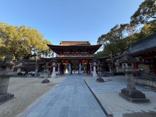 太宰府天満宮の参拝記録(ドラゴンさん)