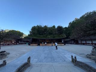 太宰府天満宮の参拝記録(ドラゴンさん)