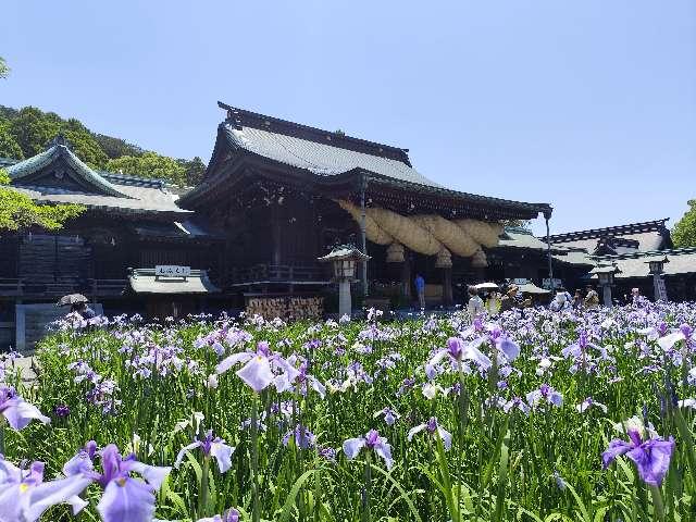 福岡県福津市宮司元町7-1 宮地嶽神社の写真16