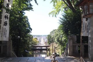 宮地嶽神社の参拝記録(ドラゴンさん)