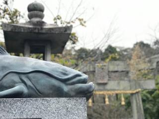 大森宮（なまず神社）の参拝記録(筑紫狼さん)