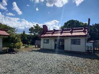 東郷神社の参拝記録(みこふくさん)