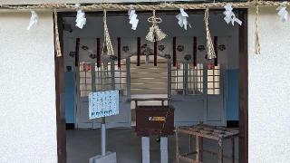 東郷神社の参拝記録(あずき島さん)