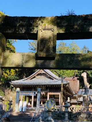 高祖神社の参拝記録(ゆかりんさん)