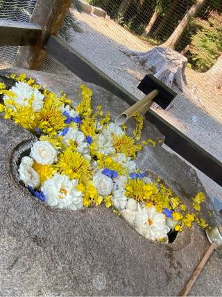 高祖神社の参拝記録(みほさん)