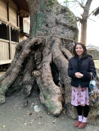 細石神社の参拝記録(魂の伝道師さん)