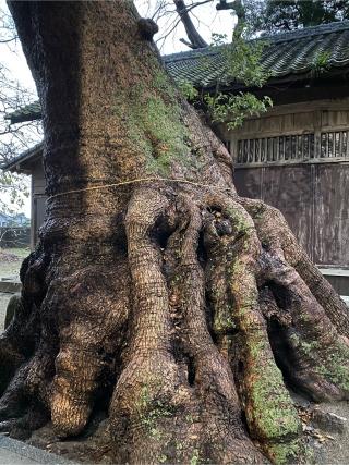 細石神社の参拝記録(みほさん)