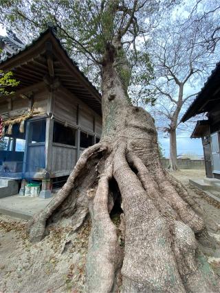 細石神社の参拝記録(みほさん)