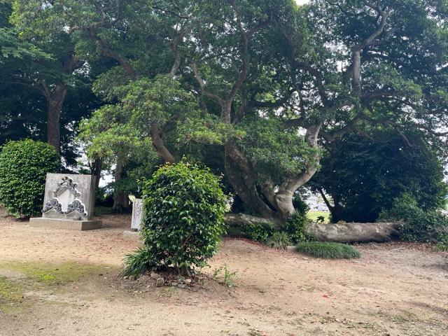 福岡県糸島市志登82 志登神社の写真3