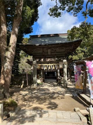 櫻井神社の参拝記録(みやごんさん)